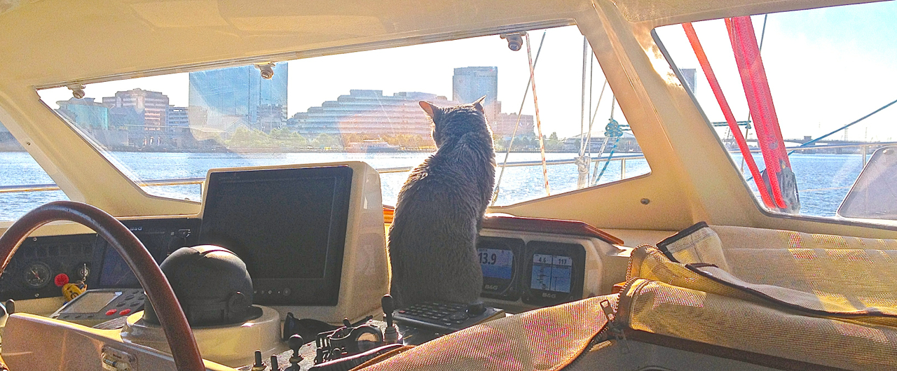 The Alférez gazes out at the Elizabeth from the Portsmouth waterfront in a rare moment of quiet in the river. Here we have seen go by countless barges, sloops, cutters, ketches, yawls, powerboats, the USS Ramage (505 feet), Larry Silverstein’s Silver Shalis (174 feet), Michael Saylor’s Usher (154 feet), the Amel Maramu Bearaway , and many others. June 24, iPhone 4S, ISO 50, 1/1493”