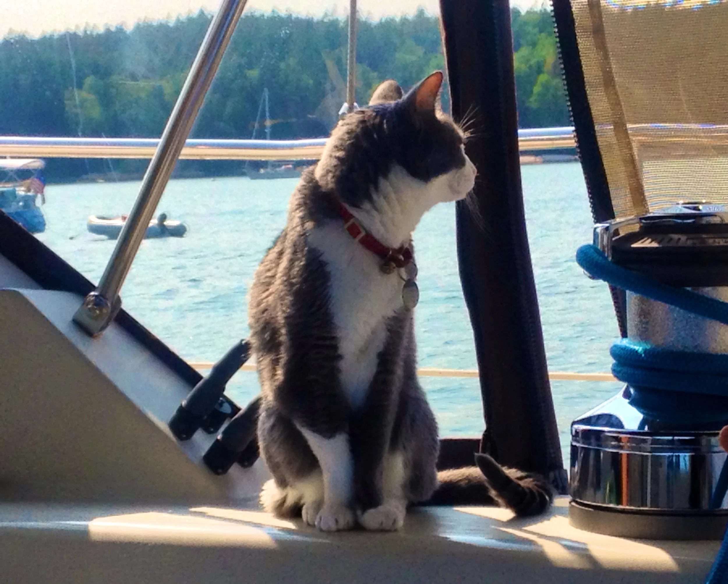 The Alférez looks out at other boats in Mackerel Cove, Swans Island. 31 July 2014.