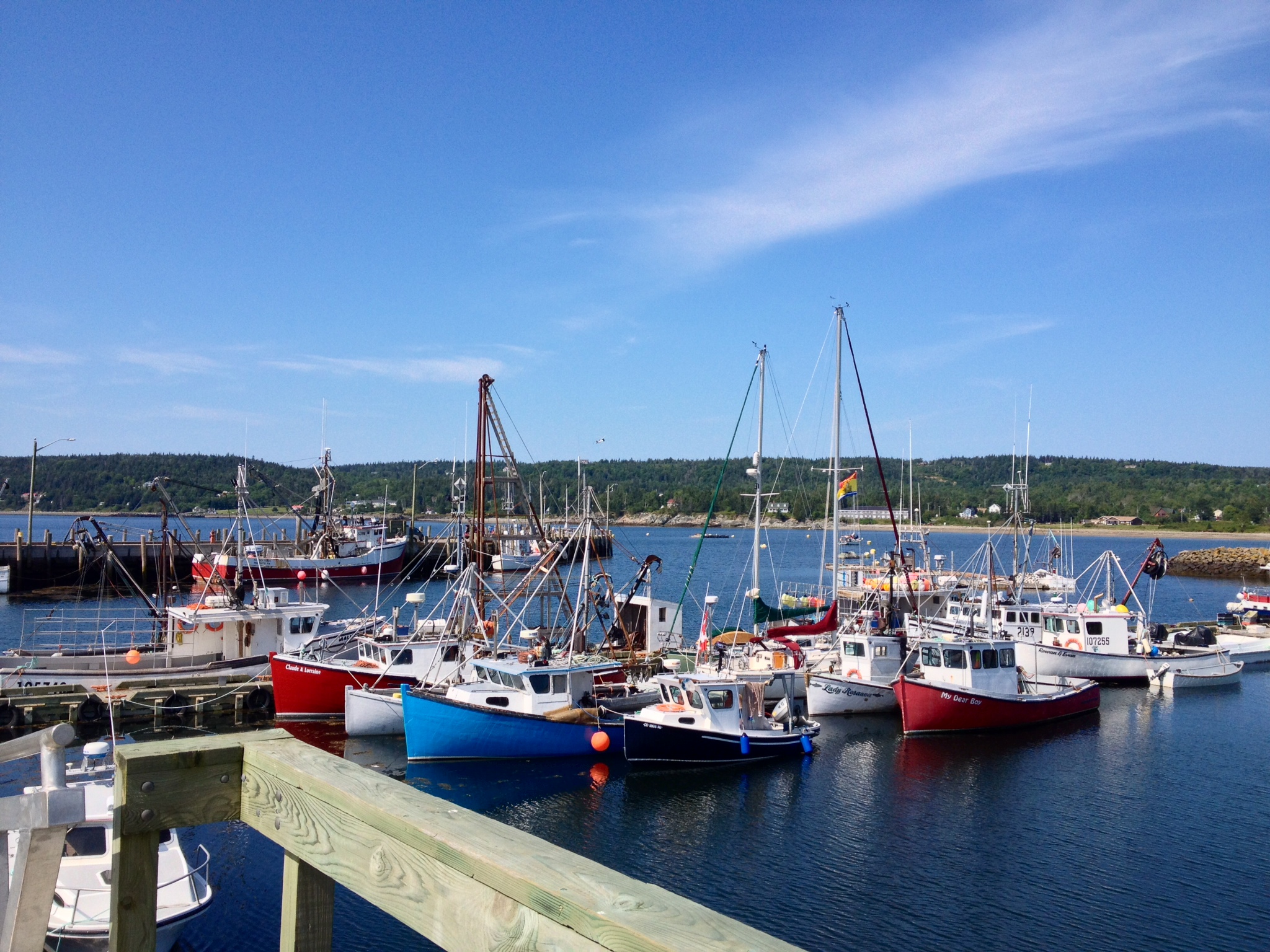 We arrived in North Head Wharf, Grand Manan Island, on 4 August 2014. Peregrinus is on this photo, center, behind the wharf. A phone call to the Canadian Border Services Agency that same afternoon and voila!, we were checked into Canada. Were that all countries worked like so.