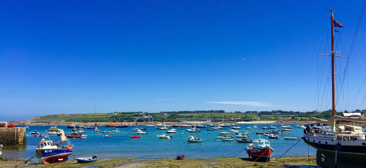 St. Mary's Harbour. Peregrinus at mooring, somewhere in there. iPhone 6 Plus. 19 June 2015.