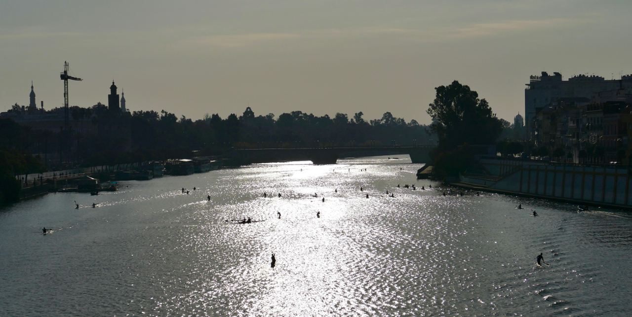 Paddlers and rowers on the Guadalquivir from the Puente de Triana on a Saturday morning. 10:21 AM, 12 December 2015. Leica Typ 114.