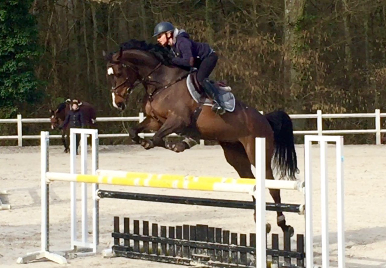 Jacqui testing a horse. Frame captured from video taken by the Seaman. iPhone 6 Plus, 21 March 2016
