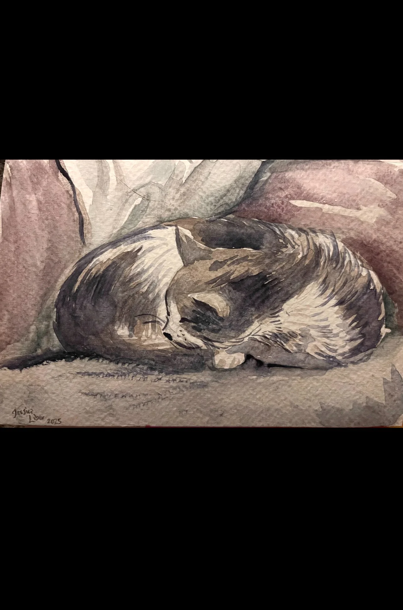 8 strada cropped.jpg