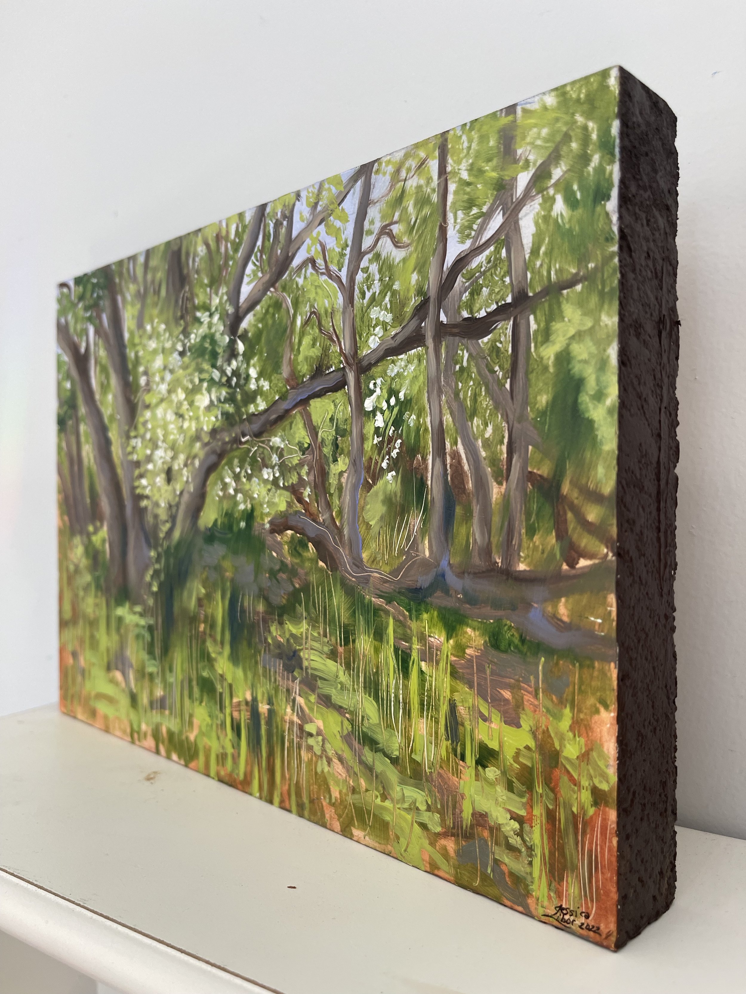Spring Bower side view.jpg