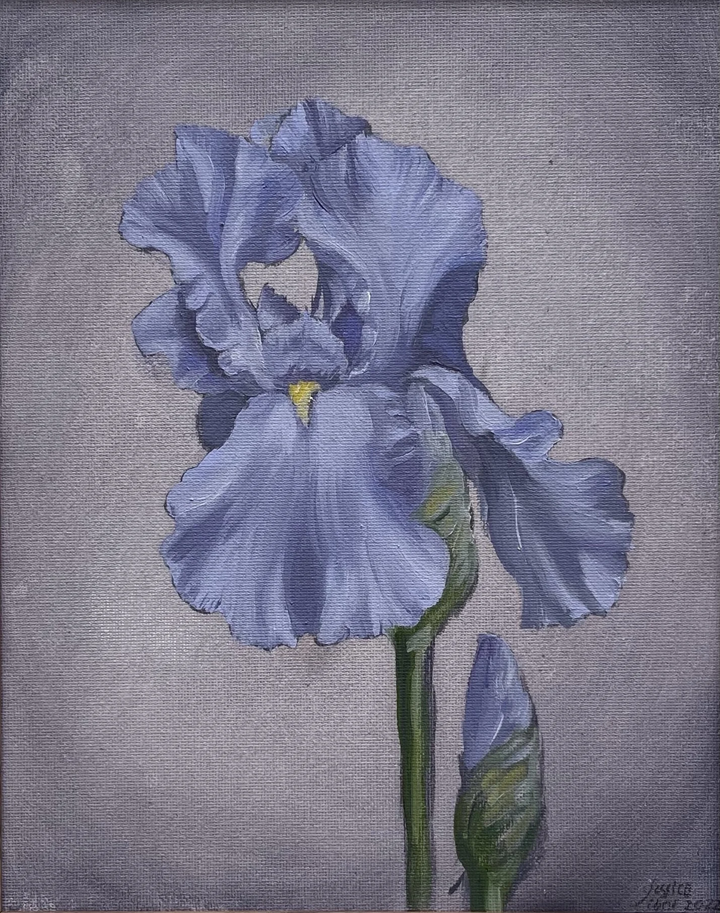 Purple Iris, oil on canvas, 8%22 x 10%22, by Jessica Libor 2022.jpg