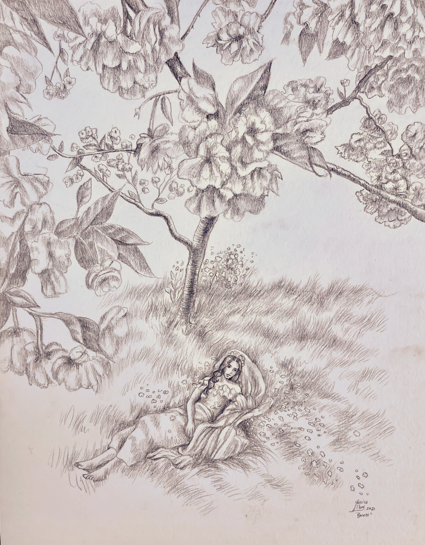 Spring Bower, graphite on paper, 8x10", inquire