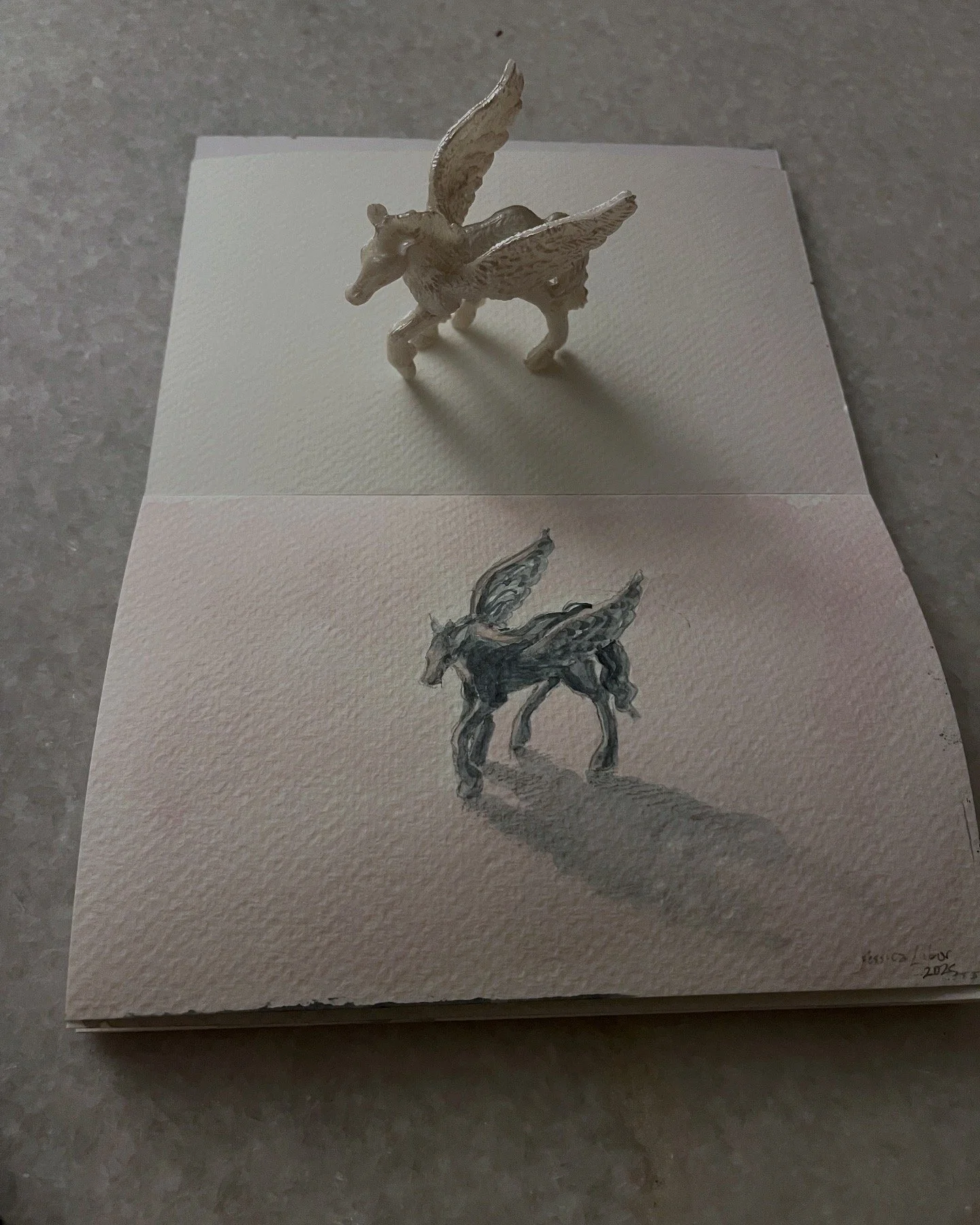 ED2C232F-AEA3-44E1-809D-D7C703AF13C9 3.JPG