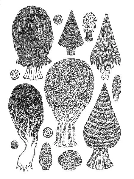 Ramsey_trees_8p5x11.jpg