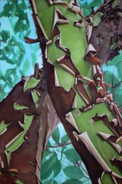 wood_converge_36x24.jpg
