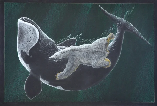 TIM PITSIULAK: LAND AND LIFE