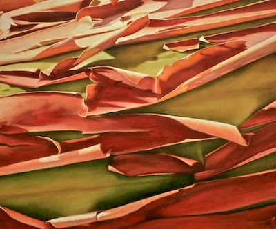 Expose 20 x 24 Oil on Canvas SOLD