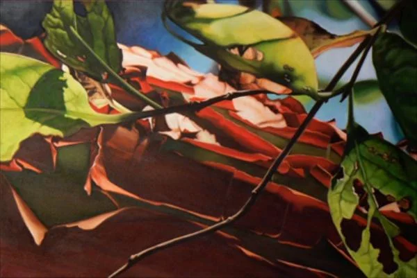 Recall 24 x 36 Oil on Canvas SOLD