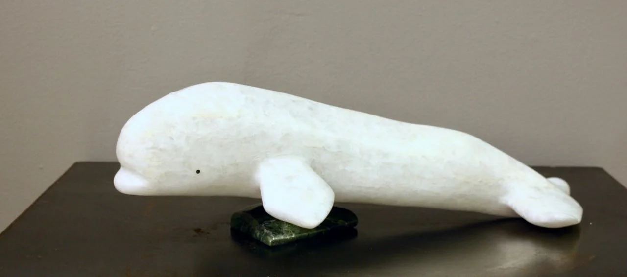 6066M Temela Pitsiulak Beluga Whale 5 x 16 x 7.5 Marble,Serpentine