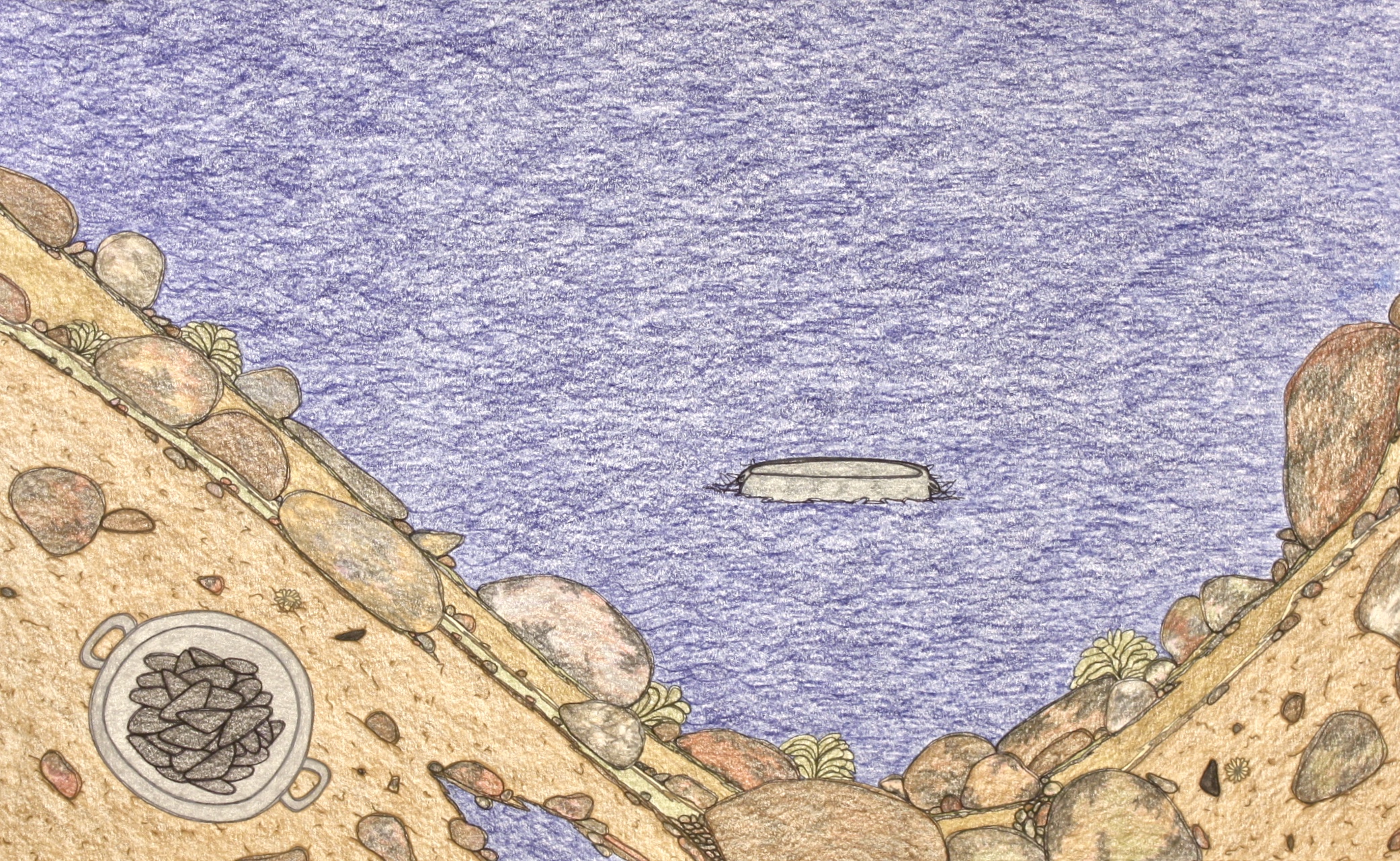 Nicotye Samayualie Floating Bucket 15 x 23 Coloured Pencil on Paper SOLD # 191 - 0593