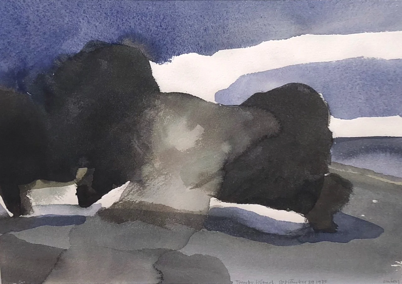 Tumbo Island 10 x 13 Watercolour 1975 SOLD
