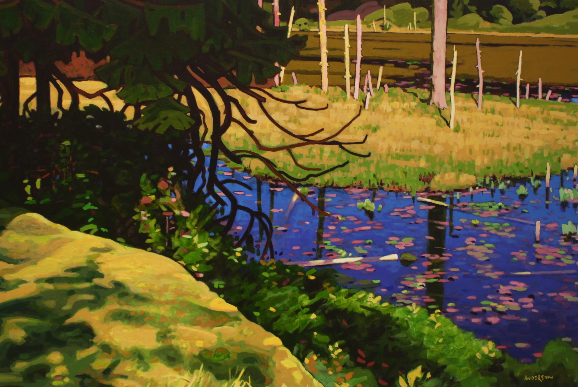 Deadwood Pond 24 x 36 Acrylic on Canvas SOLD