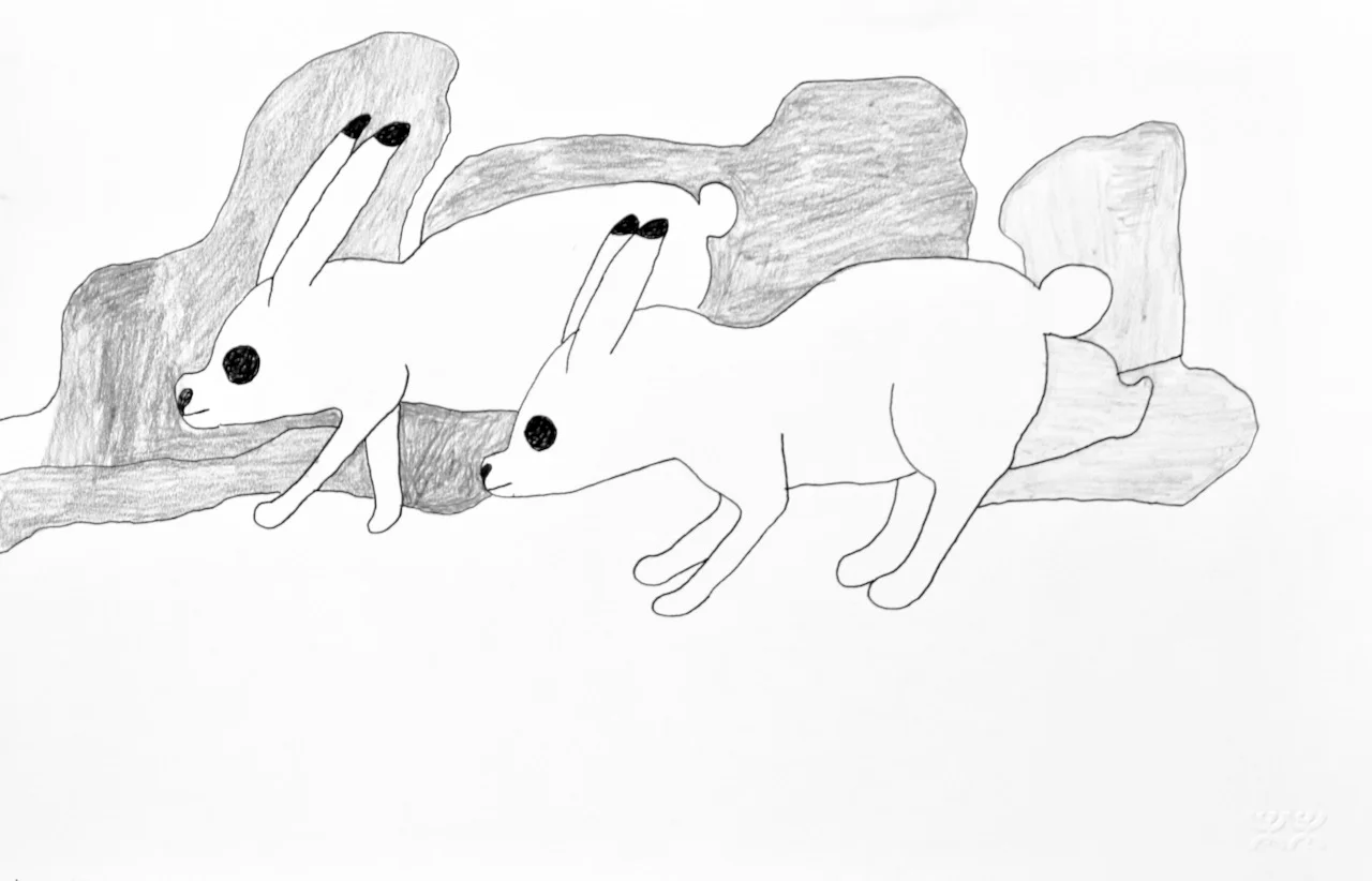Mayoreak Ashoona Untitled (White Rabbits) 15 x 23 Coloured Pencil and Ink on Paper $ 685 035-1973