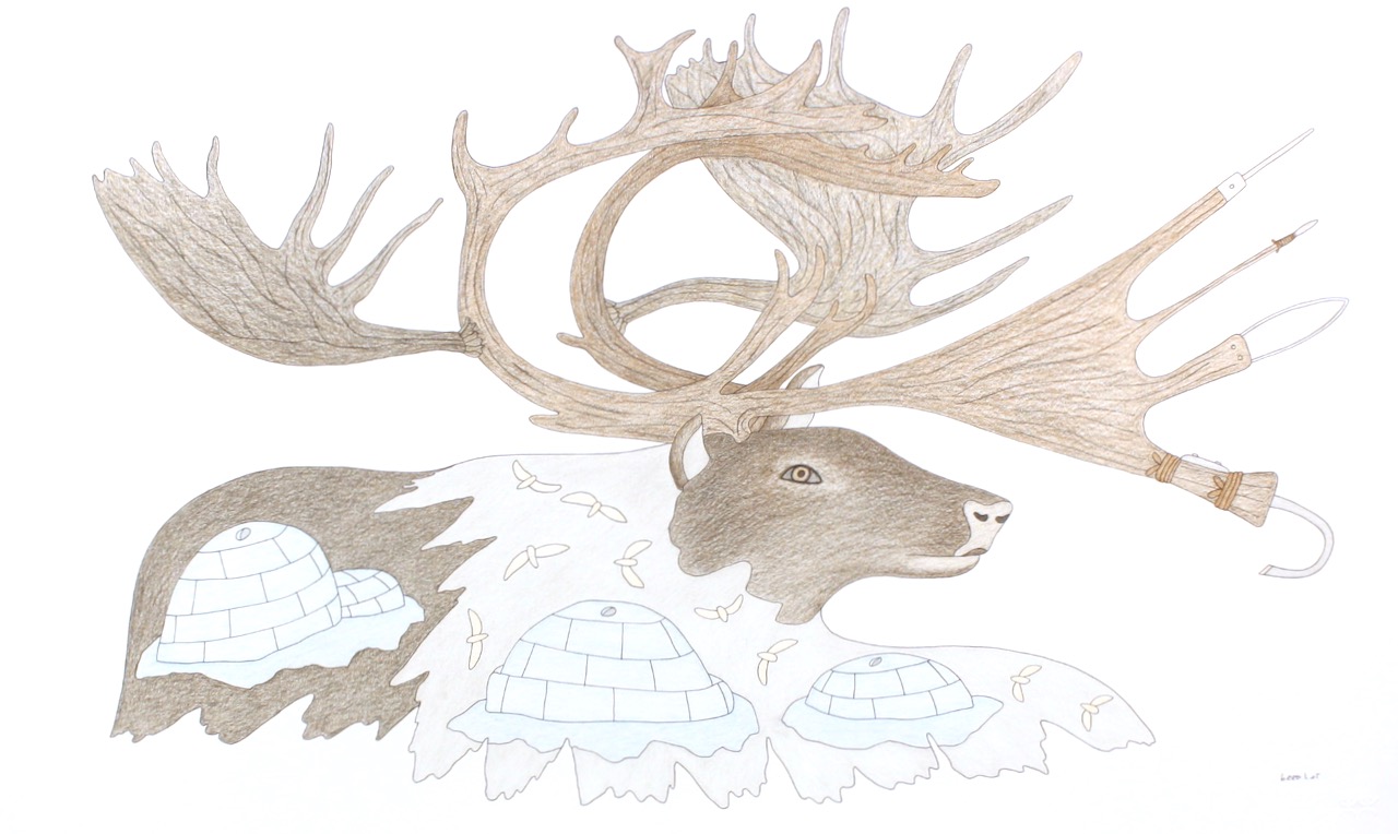 Qavavau Manumie Untitled (Caribou Head) 27 x 45 Coloured Pencil and Ink on Paper $ 2740 072-2658