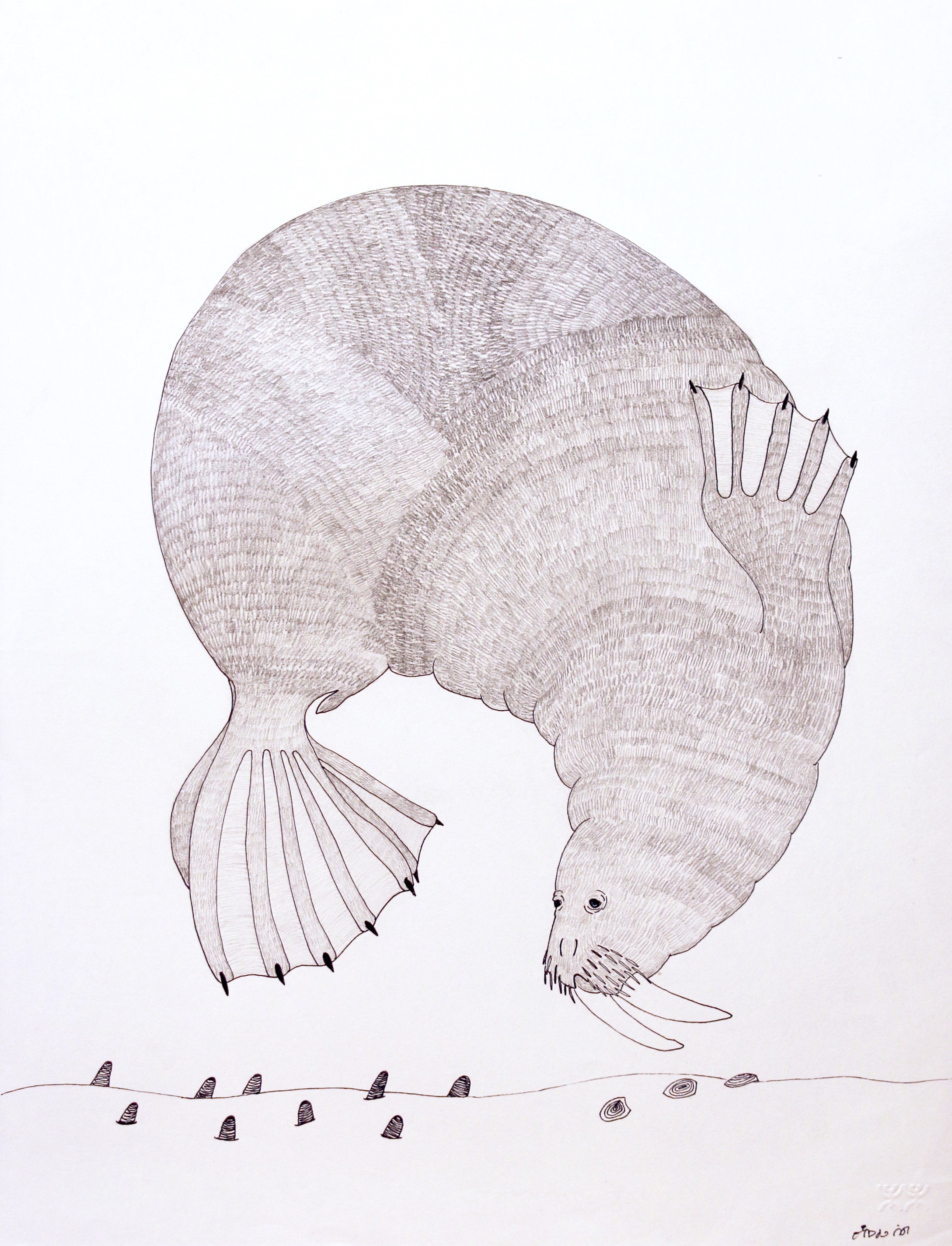 Ningiukulu Teevee Swimming Walrus 25.75 x 20 Coloured Pencil and Ink on Paper $ 1325 151-0108