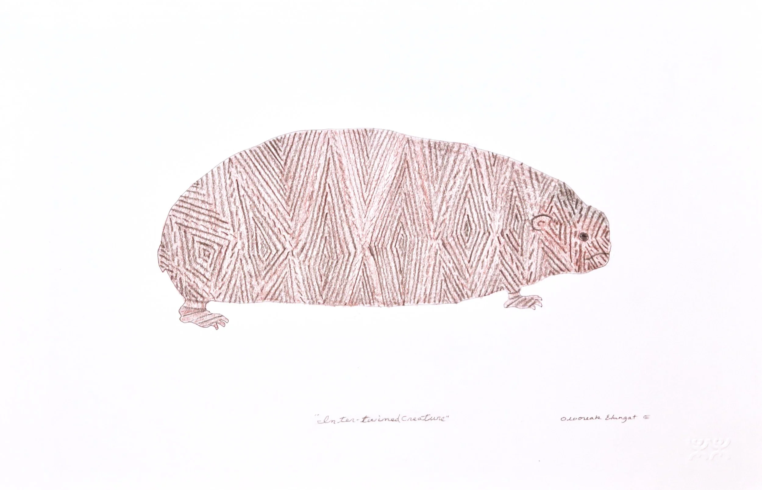 Olooreak Etungat Untitled (Intertwined Creature) 15 x 23 Coloured Pencil and Ink on Paper $ 685 197-0139