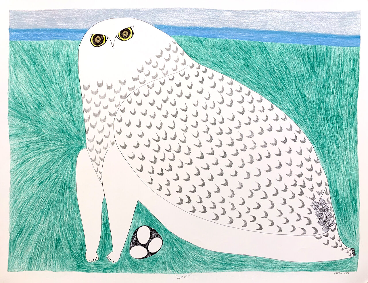 Arctic Owl 19.5 x 25.5 Coloured Pencil and Ink on Paper SOLD # 151-0841