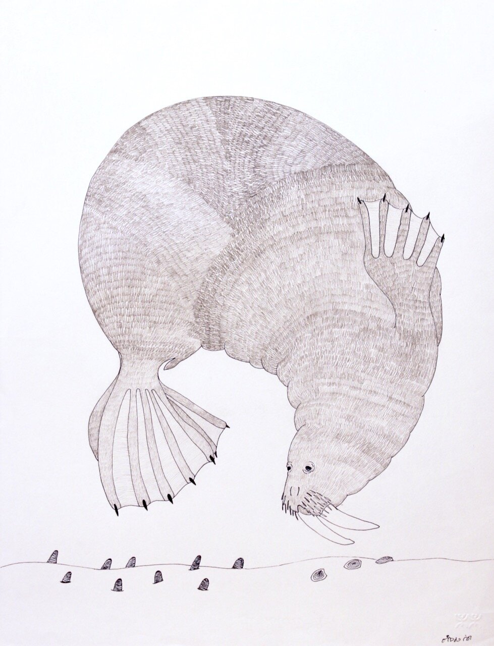 Swimming Walrus 25.75 x 20 Coloured Pencil and Ink on Paper SOLD # 151-0108