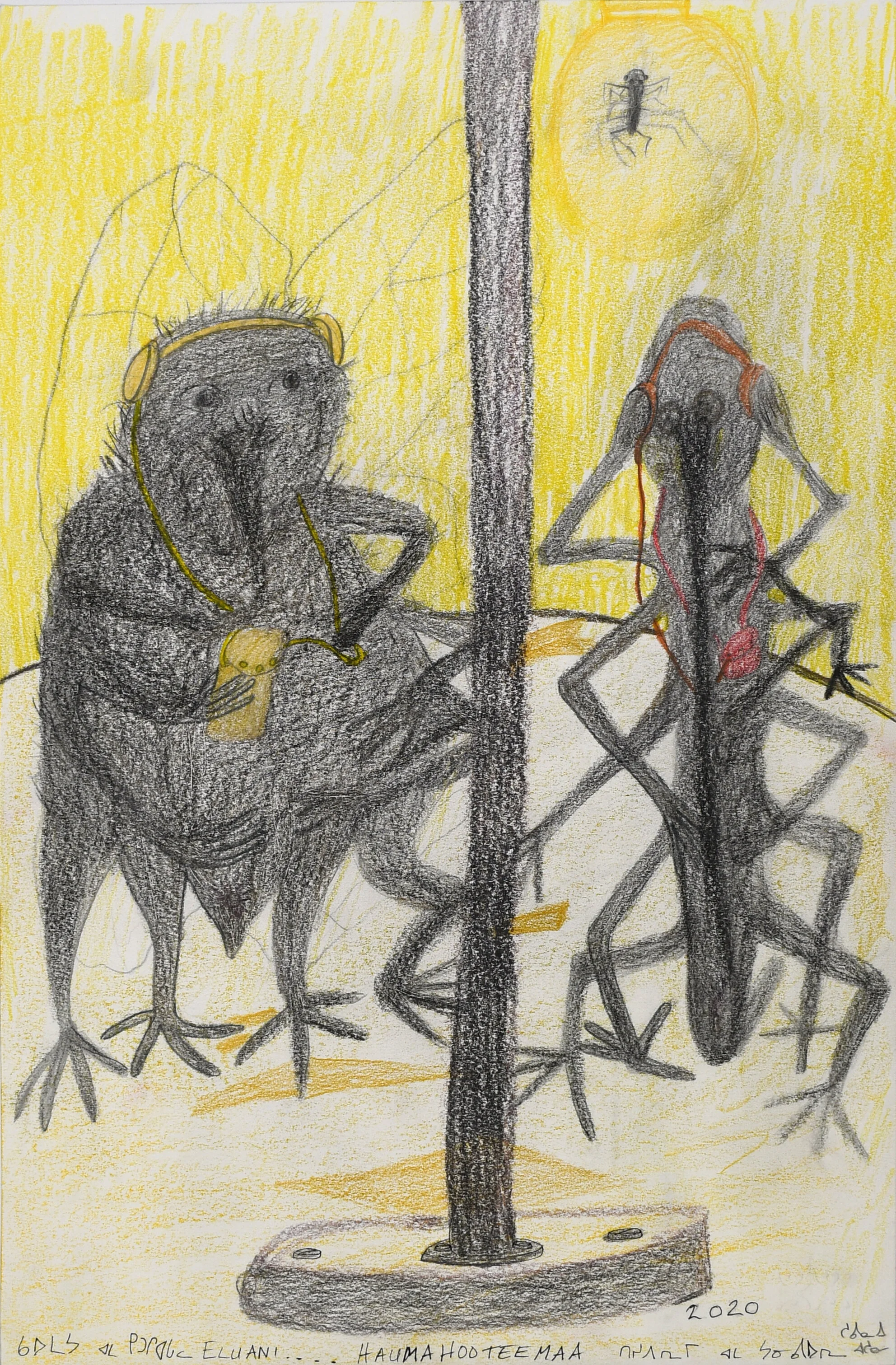  Shuvinai Ashoona Humahotee Man 23 x 15 Coloured Pencil, Ink #148-2336 SOLD 