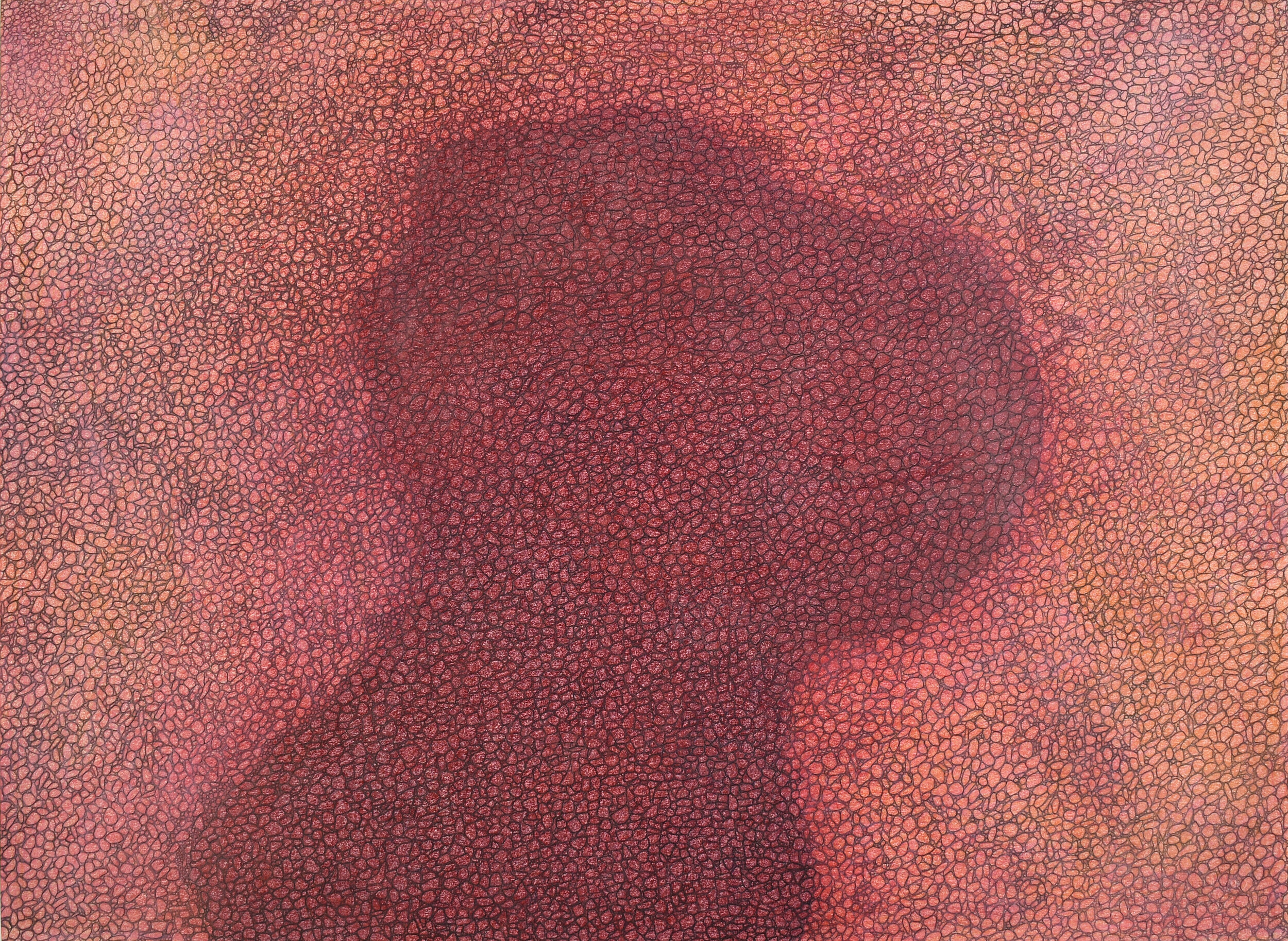  Padloo Samayualie Bloody Tide, Bloody Rocks 22.5 x 30 Coloured Pencil, Ink # 196-0434 $ 2800  