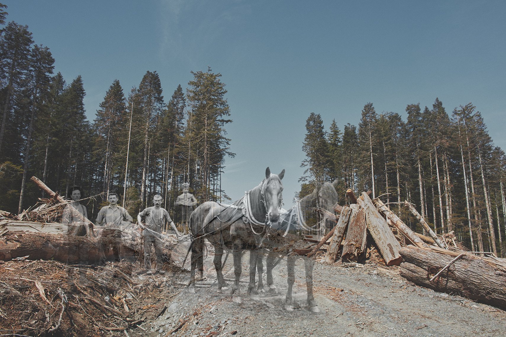 Selective Memory 30 x 45 Digital Photograph, 1/5 Falling Boundaries Series $4100