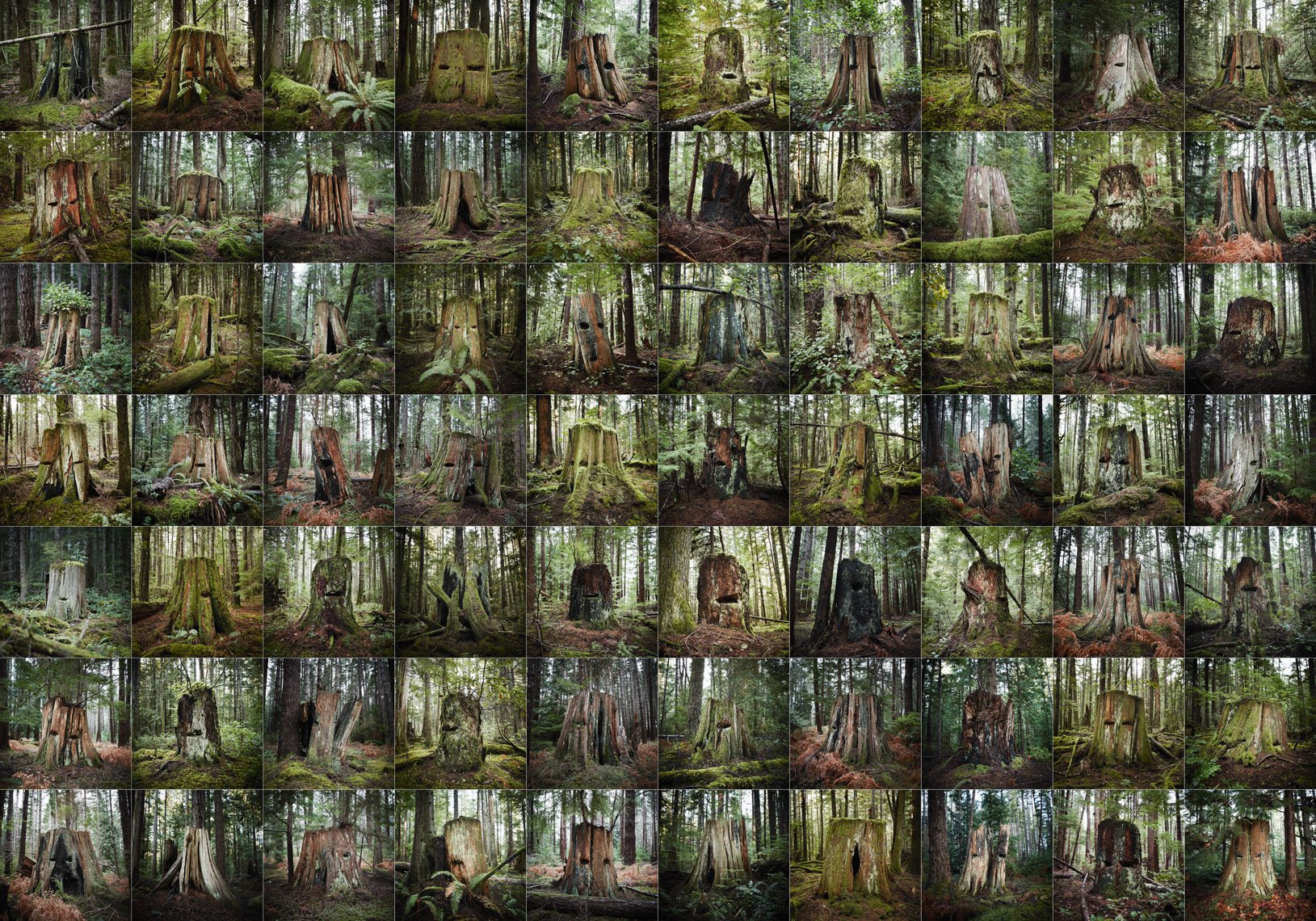 Four Point Four Acres 36 x 52 Digital Photograph, 1/5 The Last Stand Series $4900