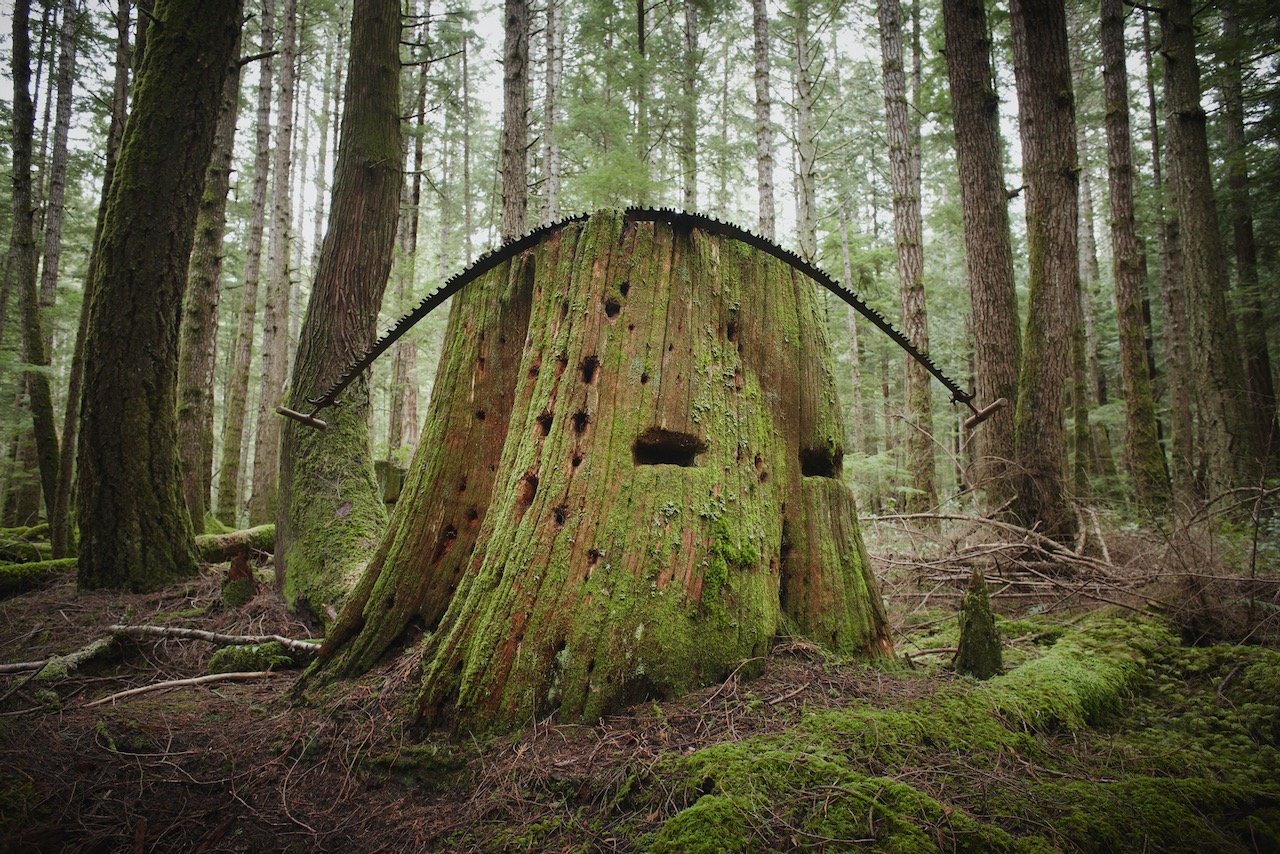 David Ellingsen Installation 3, Lance-Tooth Crosscut Saw 30 x 45 Digital Photograph, 1/3 The Last Stand Series $4250