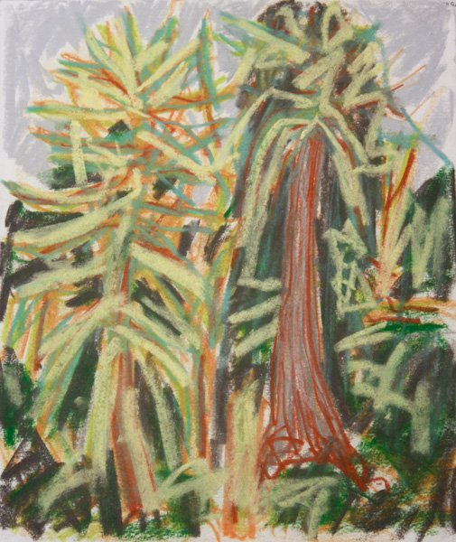 Barry Hodgson Lynn Valley Moss 10 x 12 Pastel on Paper $ 750