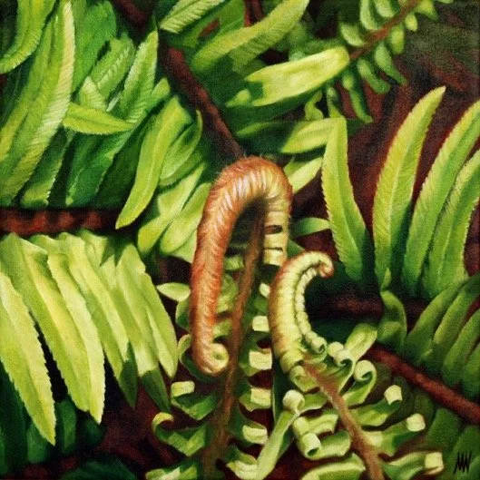  Sword Fern 16 x 16 Oil on Canvas $ 1,350 