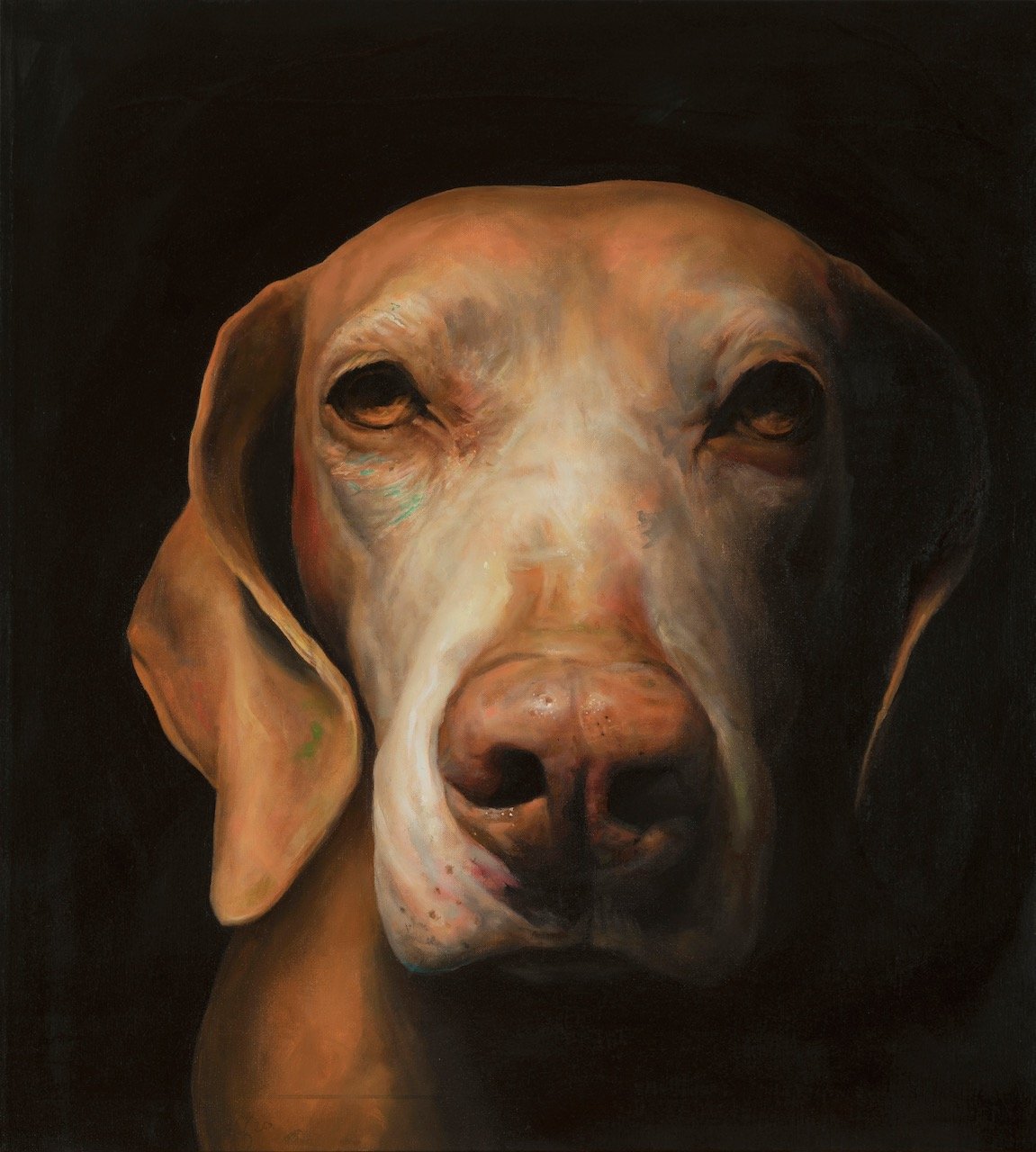 Petal’s Face 36.5 x 40 Oil on Canvas SOLD