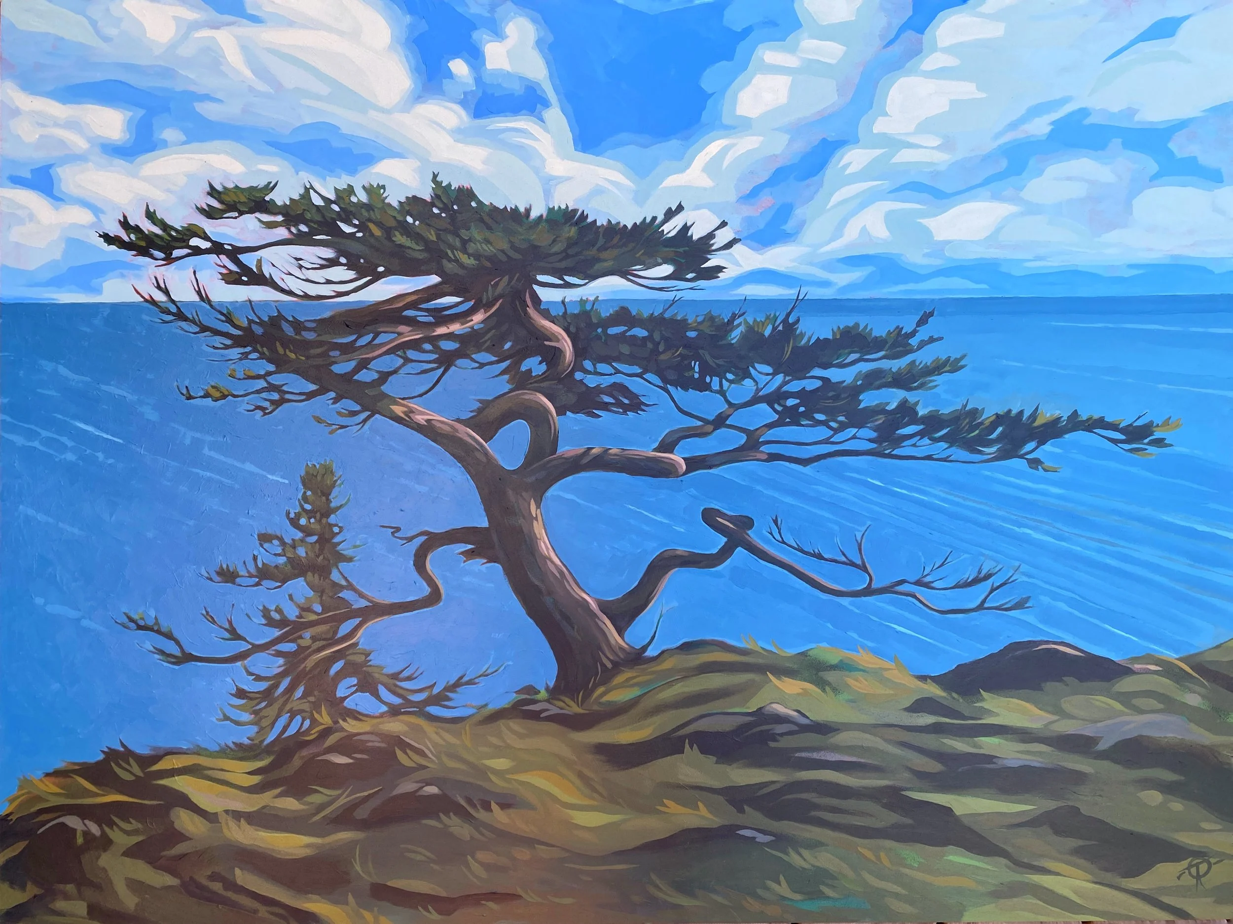 Shawn O'Keefe & Collin Elder: Sight Visits