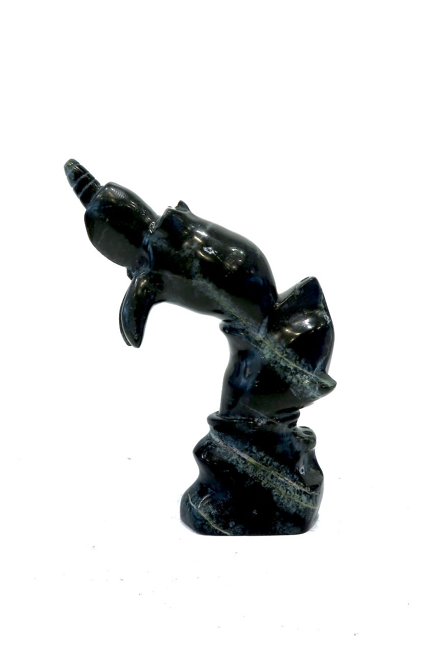  Etulu Salomonie Food Chain 6 x 3.5 x 2 Serpentine $ 550 