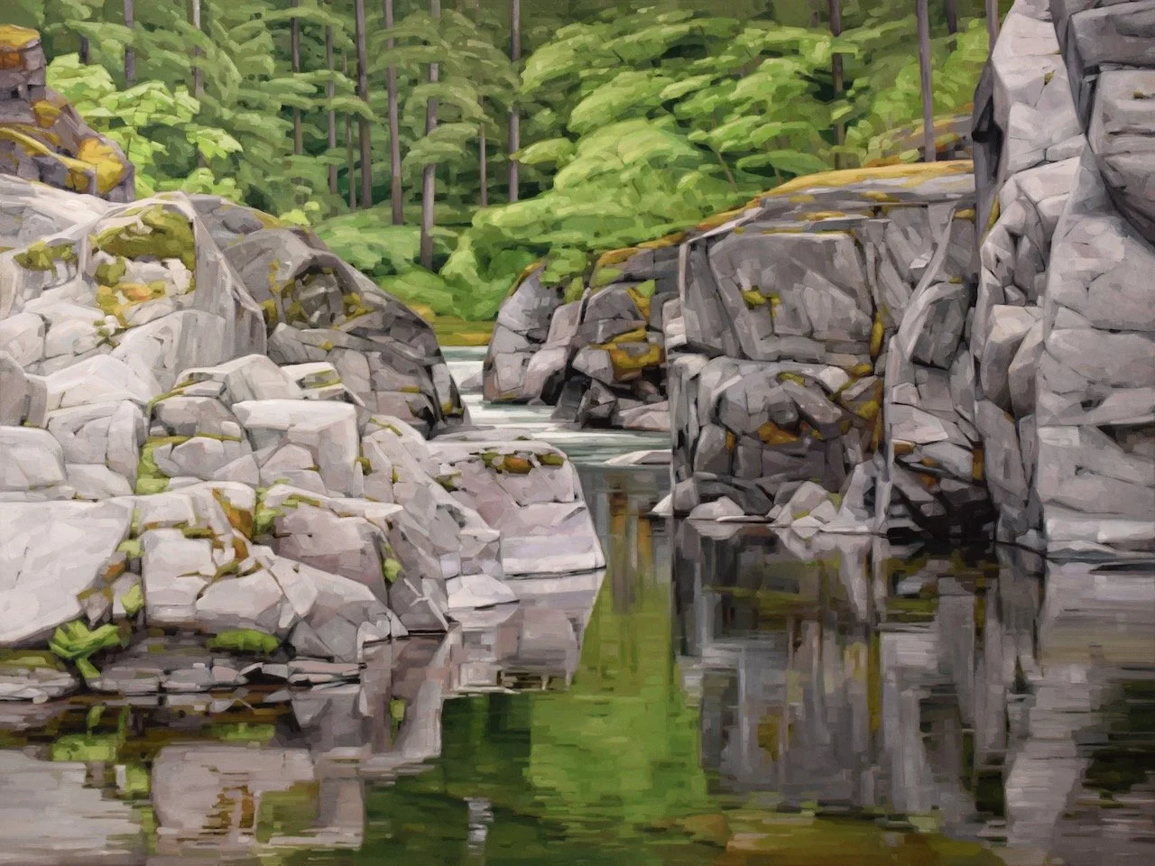 Colours of Summer XV