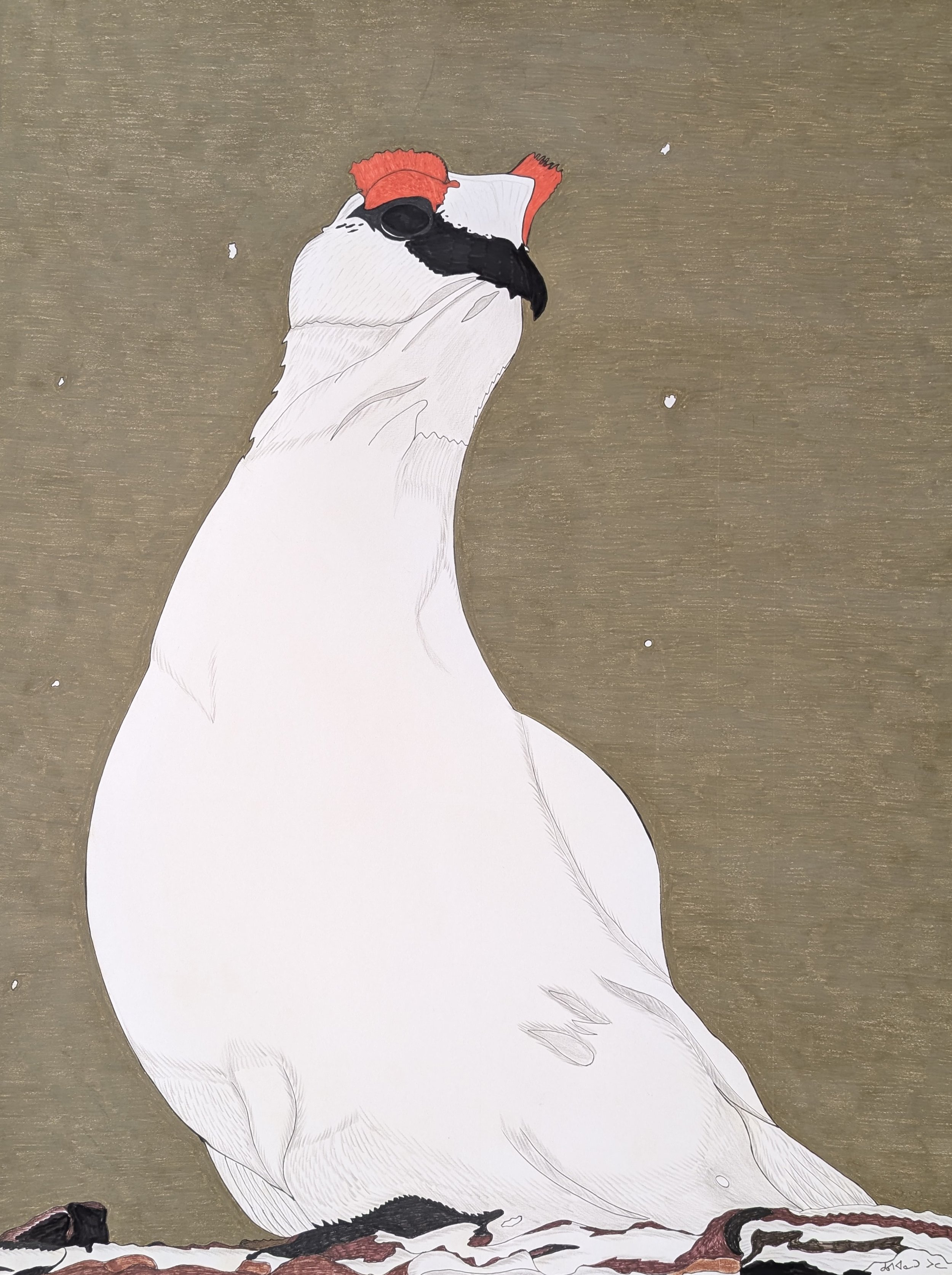 Rock Ptarmigan, Spring 40 x 31 Ink, Coloured Pencil # 220-0419 $3150
