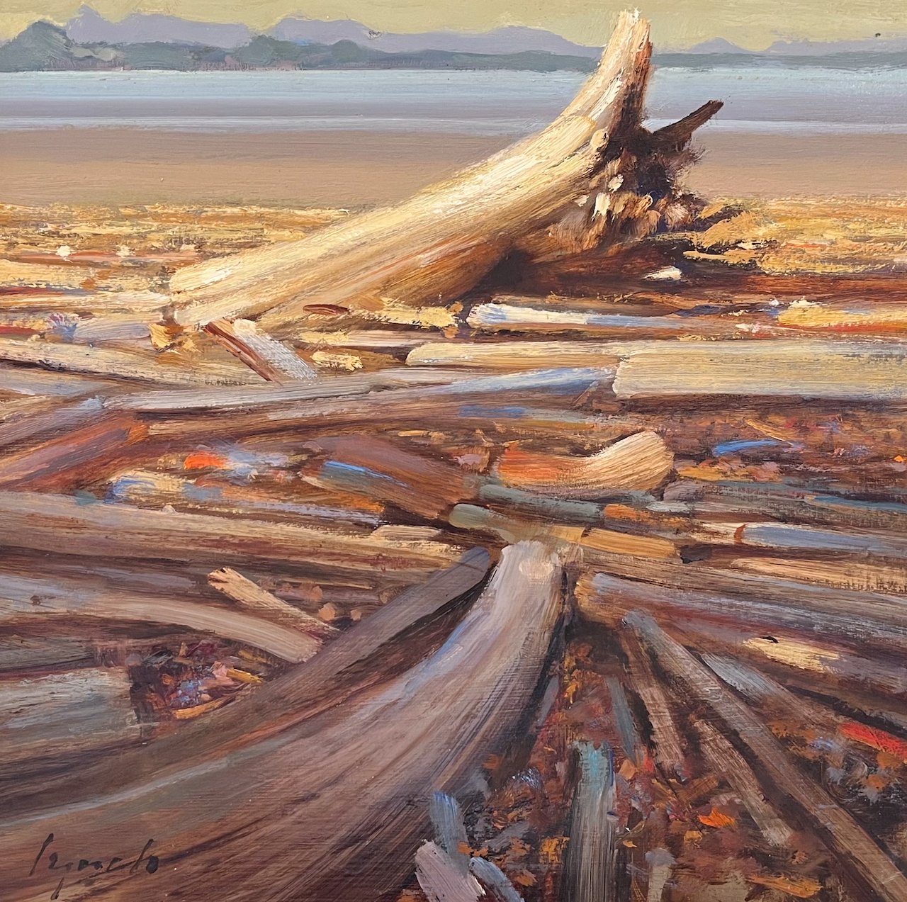 Bleached Bones, Quadra Island Study 12 × 12 Oil on Board SOLD