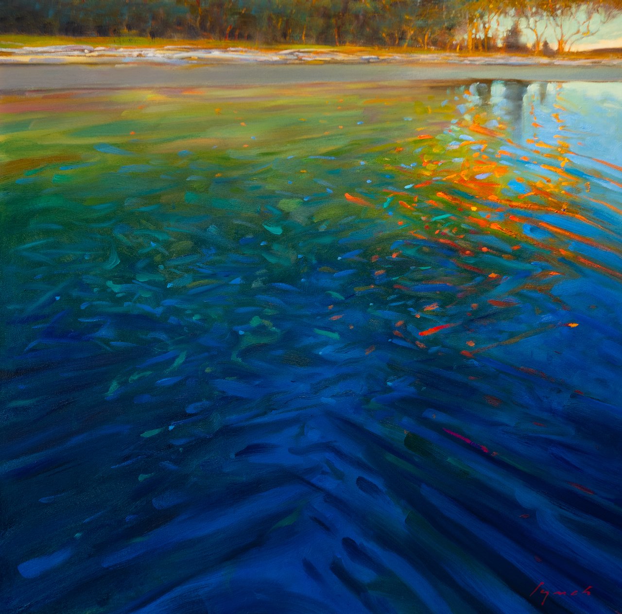 Broken Light Arbutus, Cabbage Island 36 × 36 Oil on Canvas $ 7900
