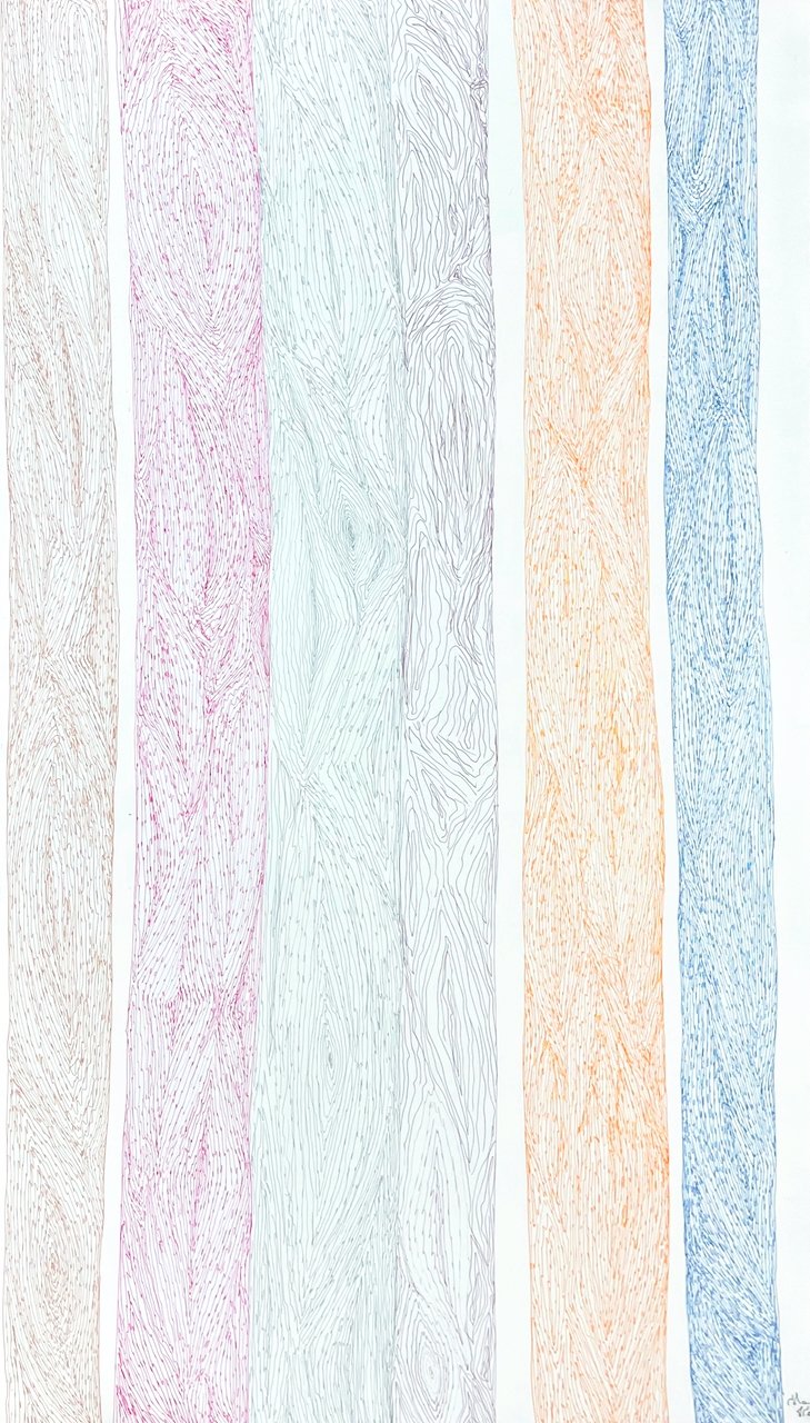 Untitled 50 × 27.75 Coloured Pencil #148-2917 $ 6750