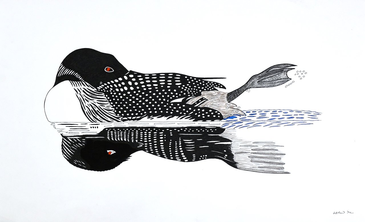 Loon 23.5 × 37.5 Ink, Coloured Pencil # 220-0443 $ 2550