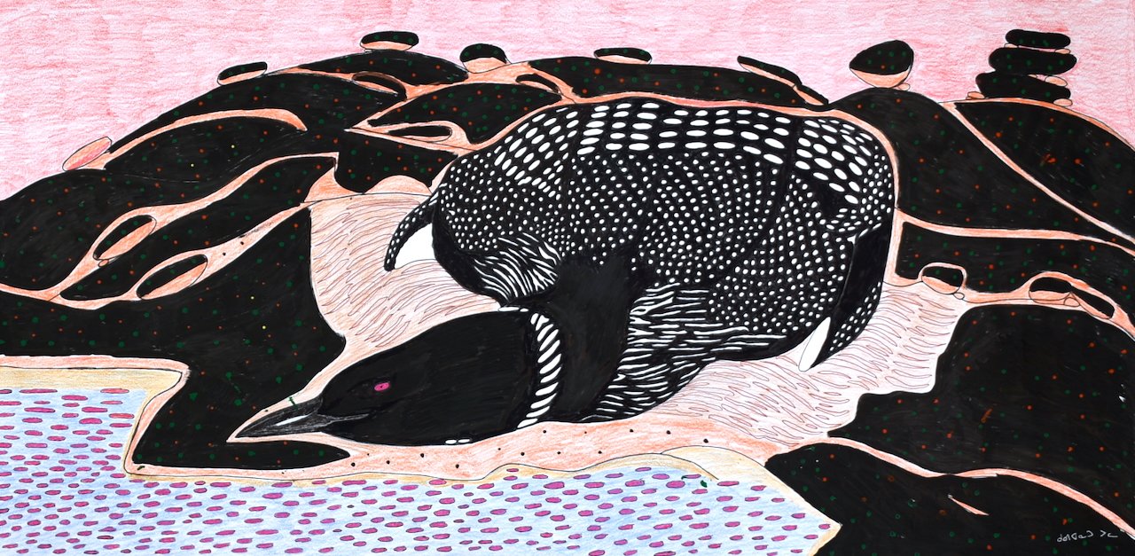 Nesting Loon 25 × 50 Ink, Coloured Pencil # 220-0419 $ 3150