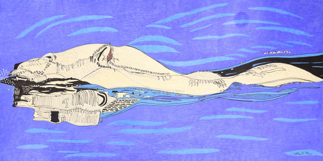 Swimming Polar Bear 32.25 × 61.75 Ink, Coloured Pencil # 220-0438 $ 4350
