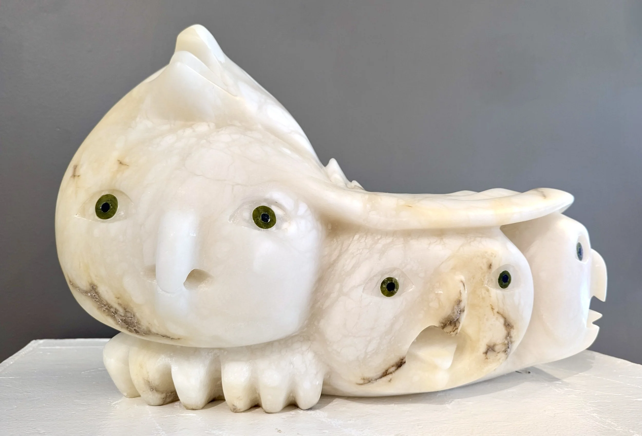 Toonoo Sharky RCA-Owls-14x25x12-Marble-# 7195S-frontal.jpeg