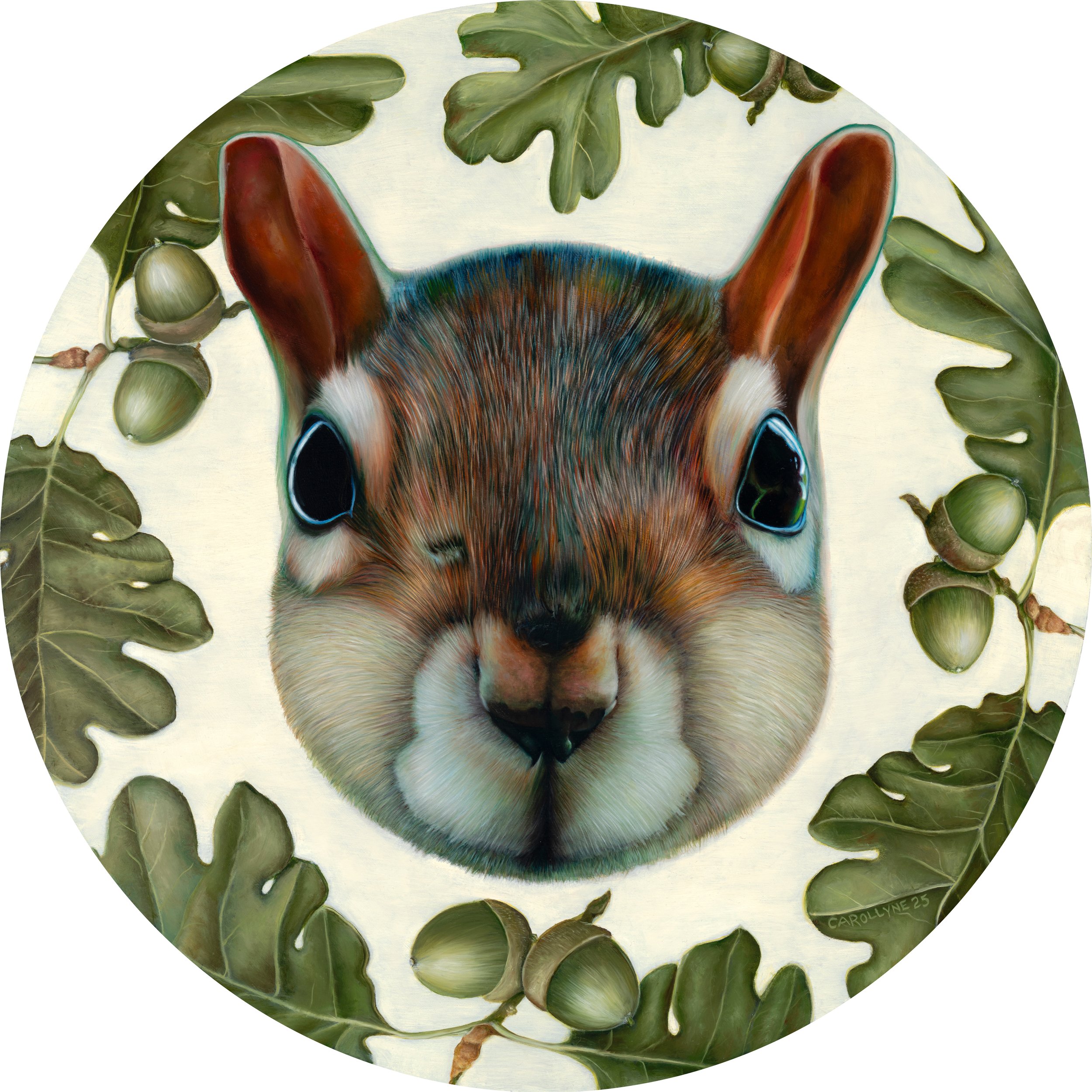 Carollyne Yardley Kwetlal (Garry Oak) Squirrel 30” Diameter Oil on Panel 2025 $ 8000