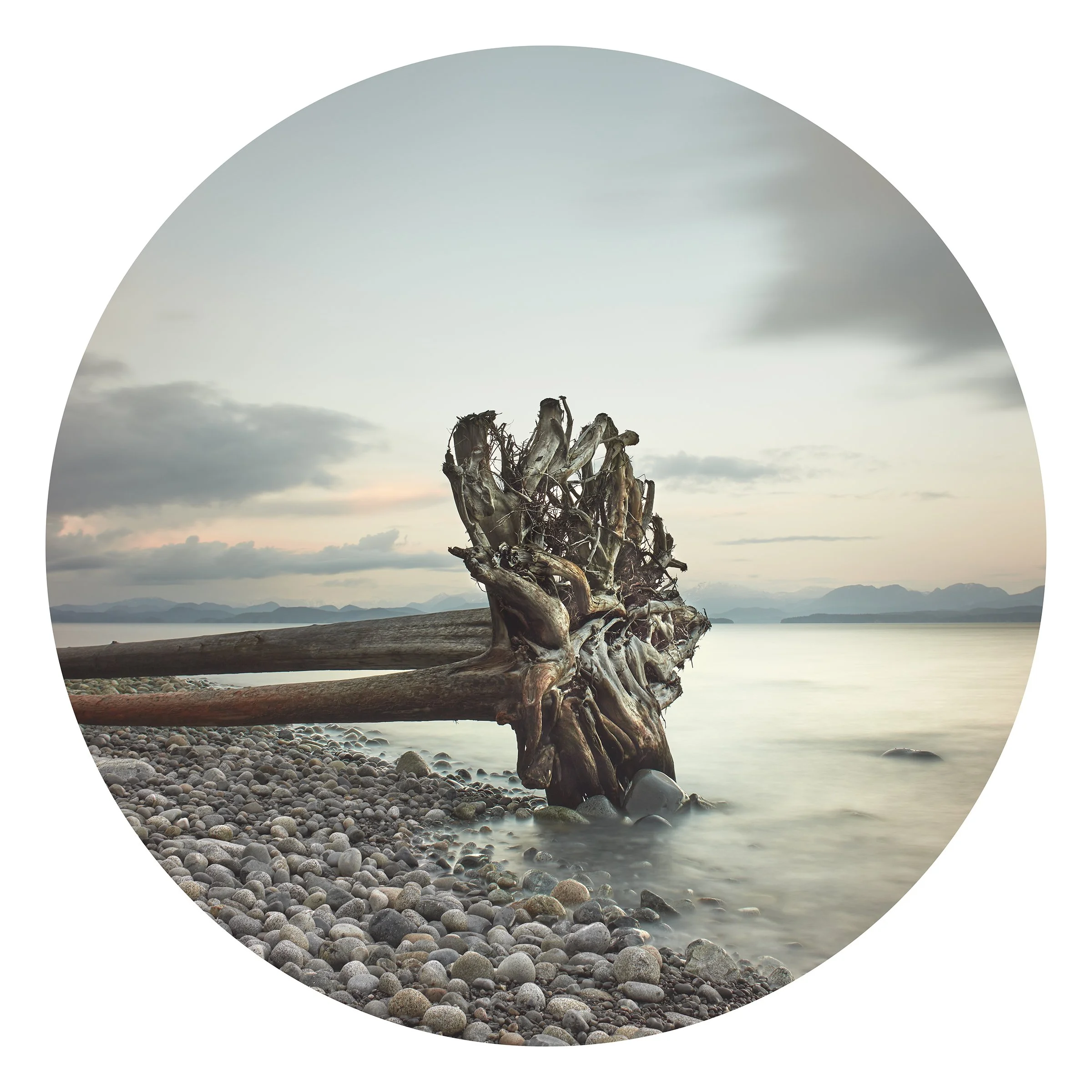 Glory Adrift 33 × 33 Digital Photograph Edition 1/10 $ 3350