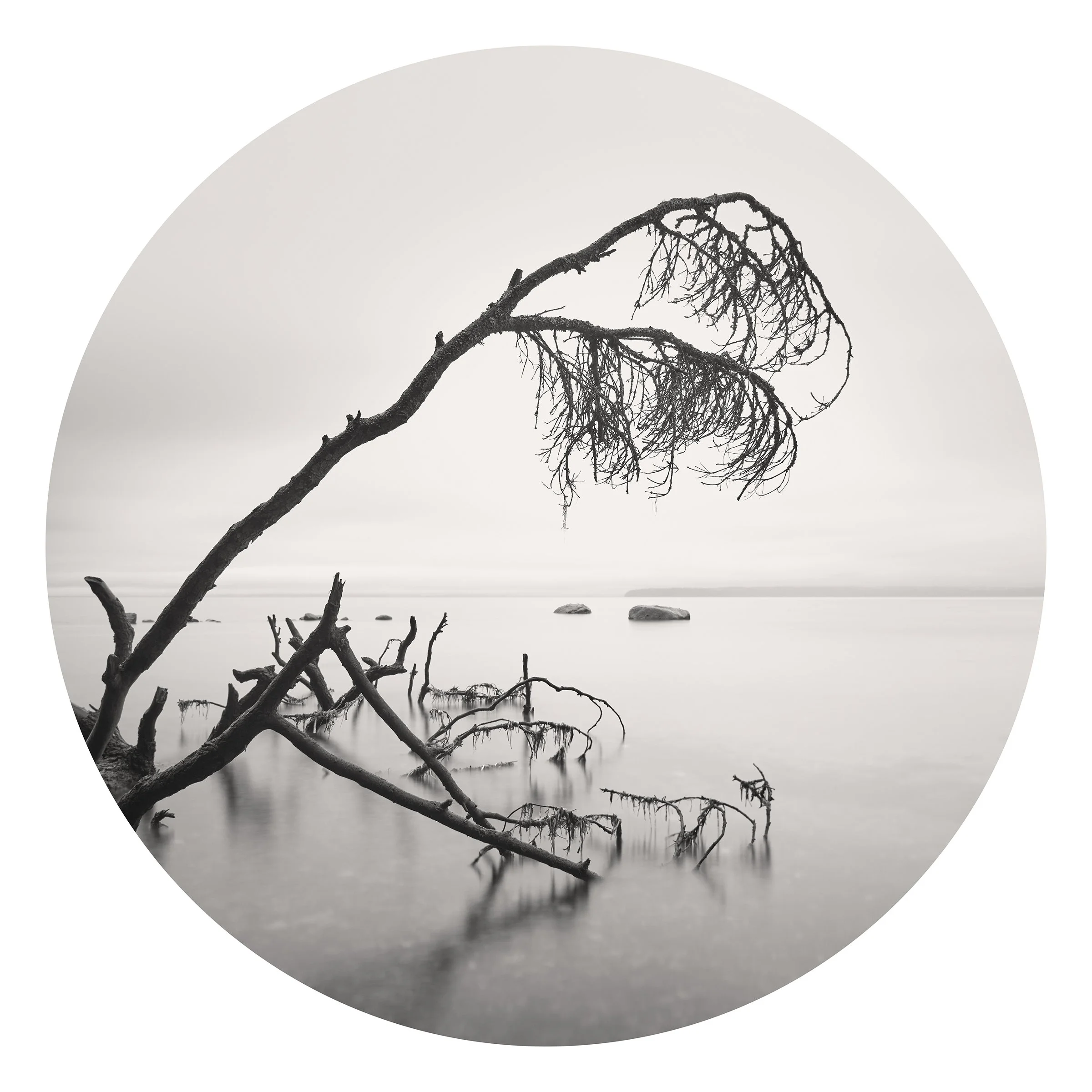 Become the Sea 33 × 33 Digital Photograph Edition 1/10 $ 3350