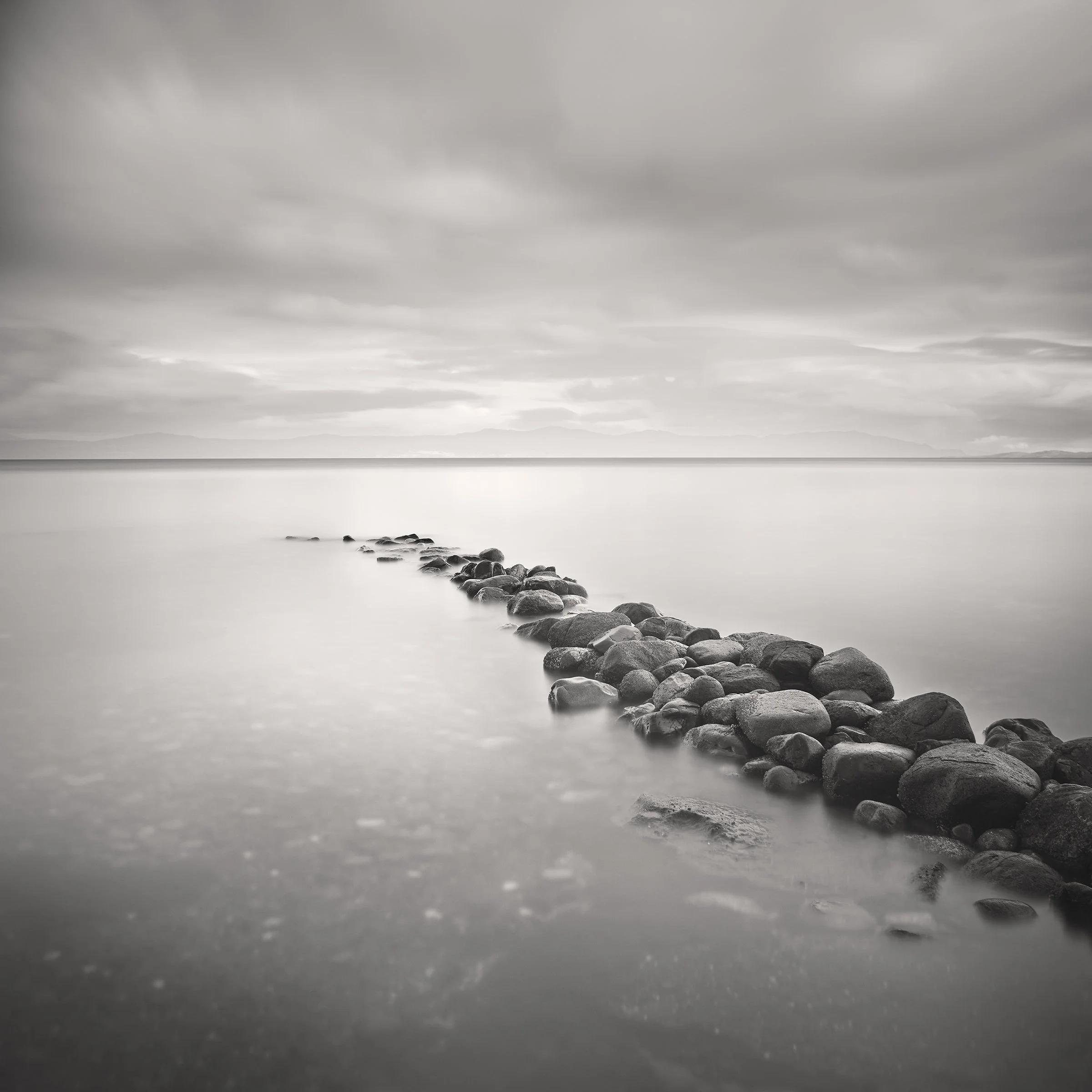 Path of Desire 20 × 20 Digital Photograph Edition 1/10 $ 1950