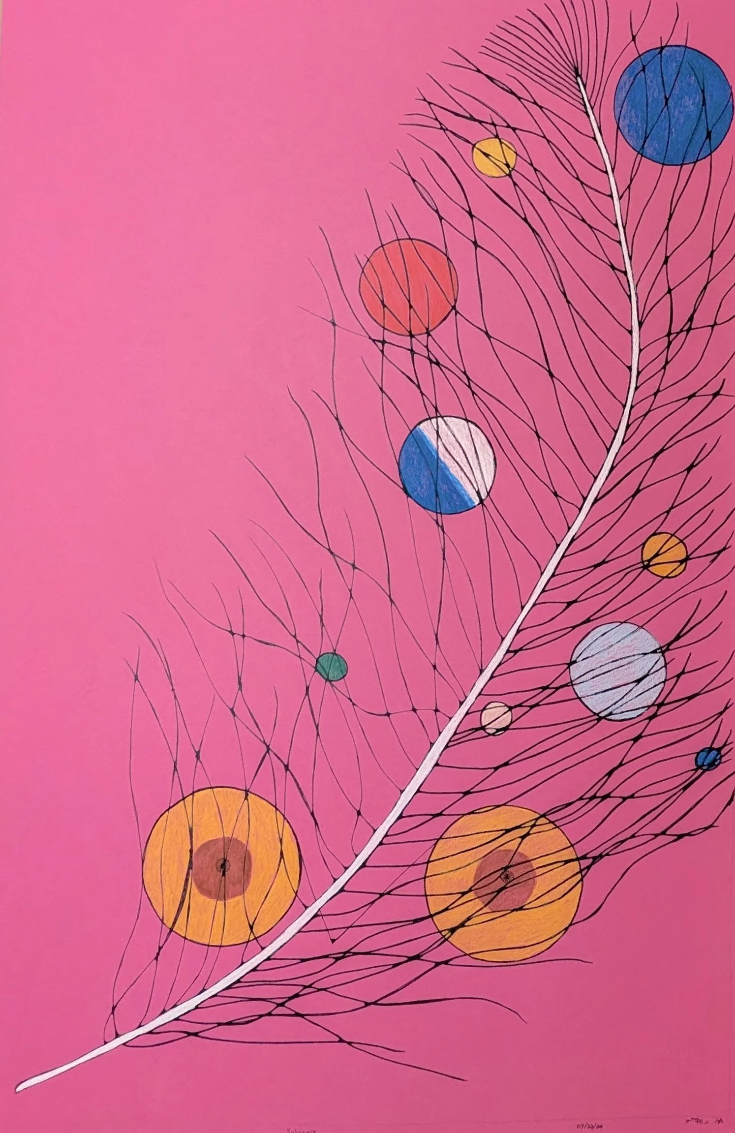  Beautiful Feather 38 × 25 Ink, Coloured Pencil # 151-1646 SOLD 